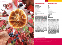 /album/citrusova-kucharka/citrus20-png/