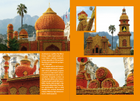 /album/citrusova-kucharka/citrus60-png/